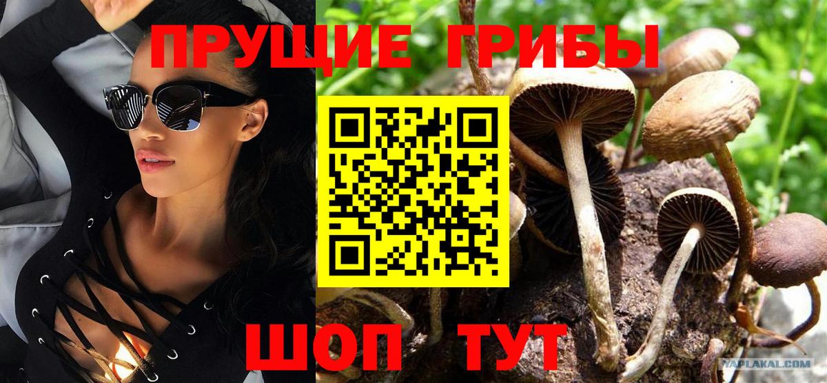 Ковров  Псилоцибиновые грибы мицелий  Вход с VPN  Псилоцибиновые грибы ЛСД 